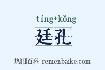 廷孔是什么意思的图片